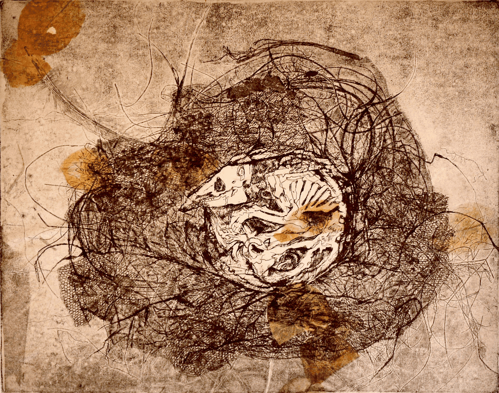 Claire Bonnafoux - Gravure 'Le nid'